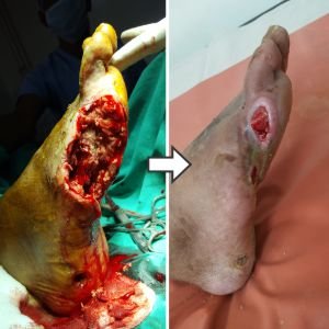 Vascular Care Center