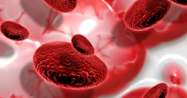 Understanding Blood Clotting Disorders