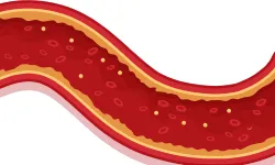 blood circulation-02